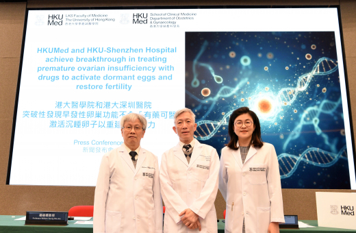 港大醫學院與港大深圳醫院突破性發現 早發性卵巢功能不全「有藥可醫」 激活沉睡卵子以重建生育能力